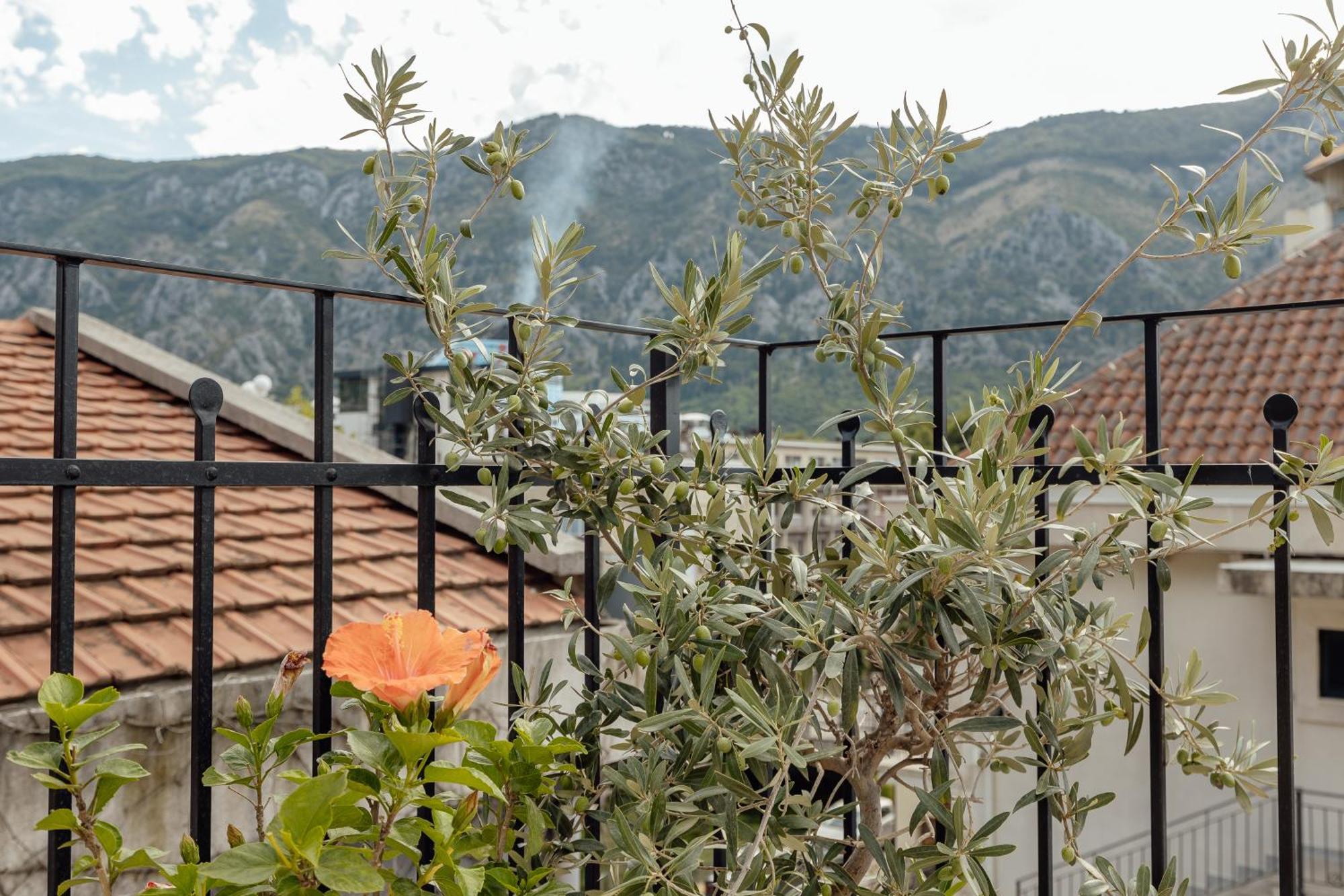 Kotor Central Point Экстерьер фото